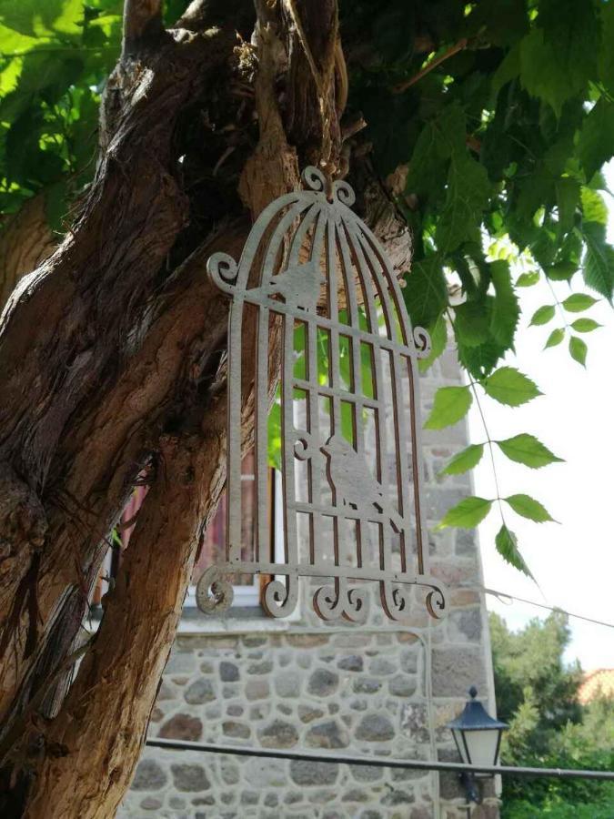 Μαχη Ενοικιαζόμενα Δωμάτια Мітімна Екстер'єр фото